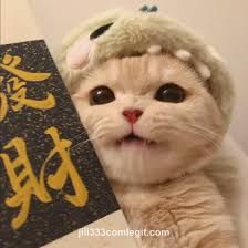 Images (3)